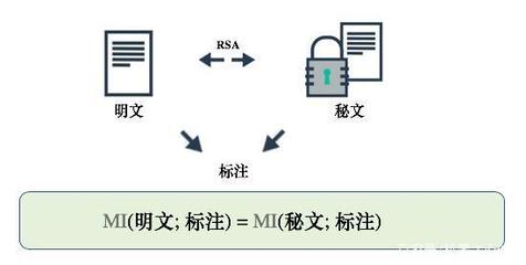 北大图灵班本科生满分论文 计算约束下有用信息的信息论